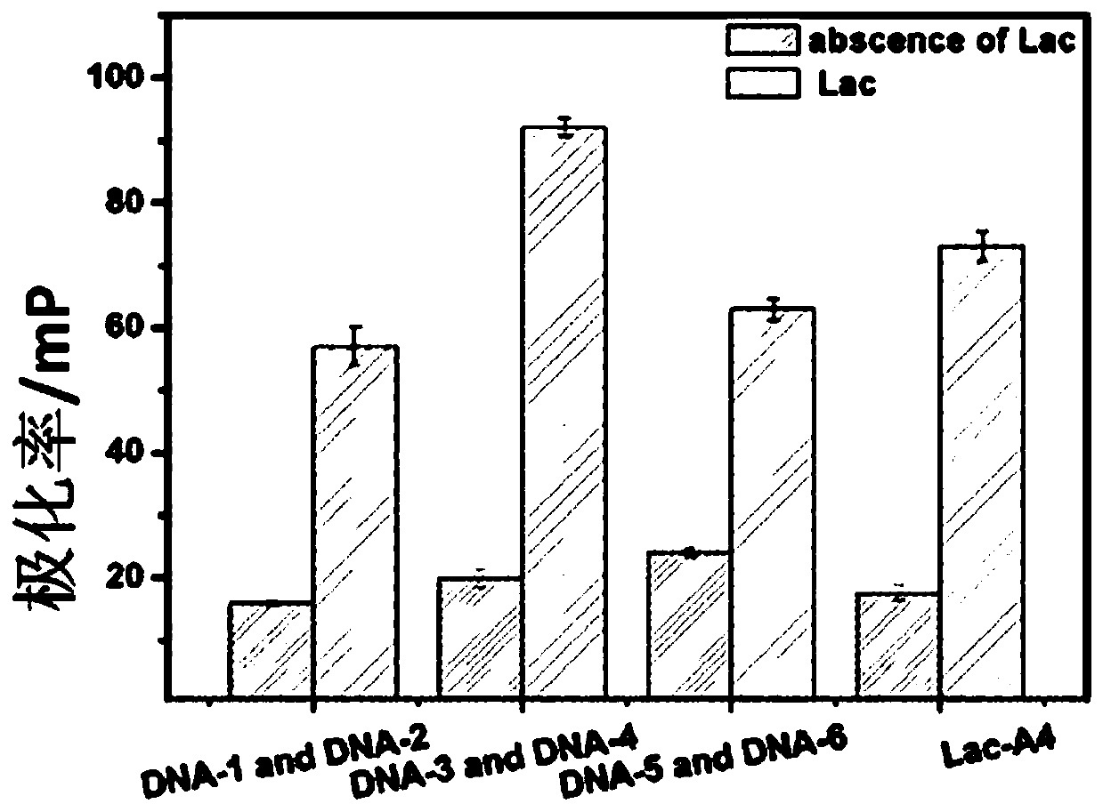 Fluorescent polarization aptasensor based on dual signal amplification and its application