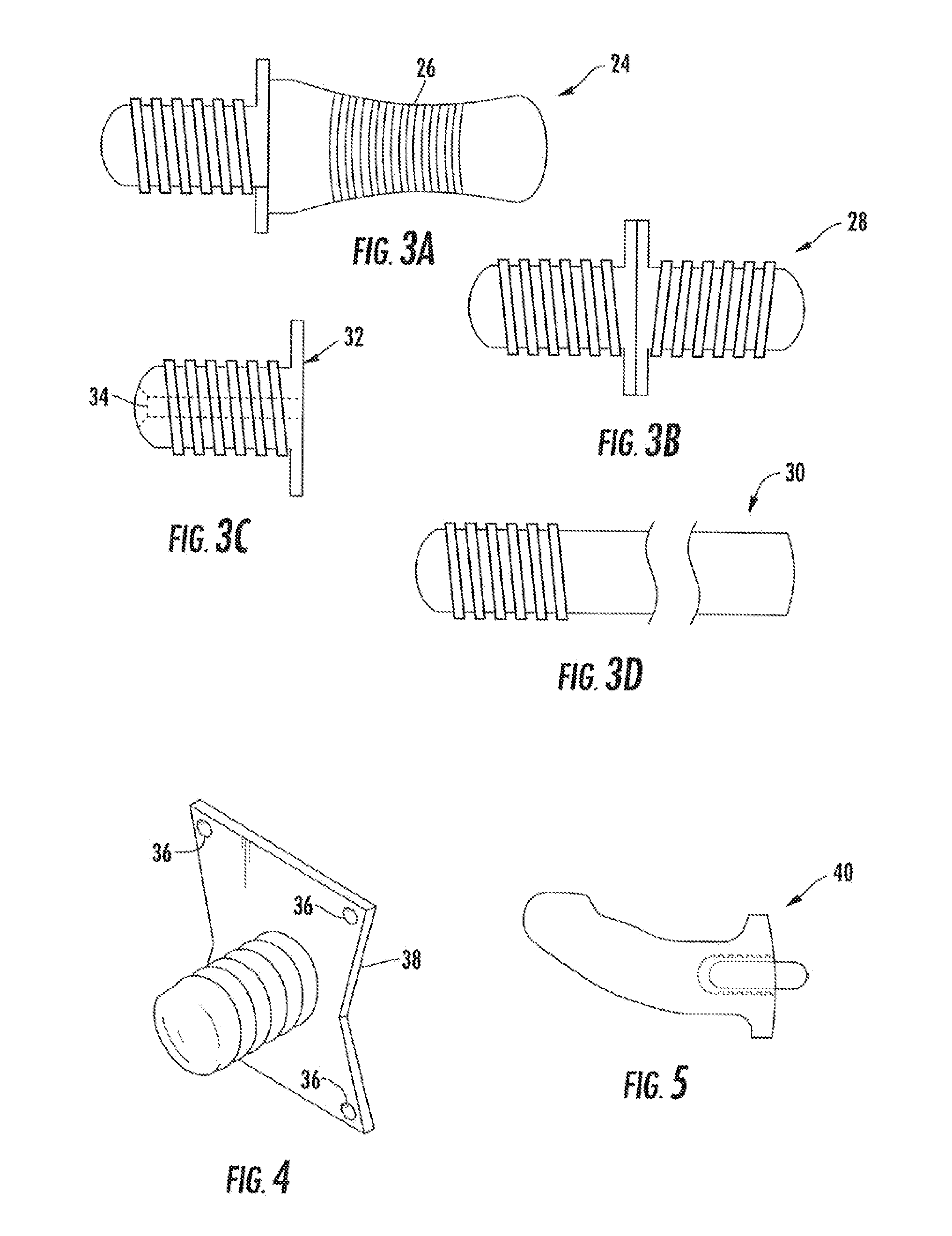 Phallus device and system with screw attachment