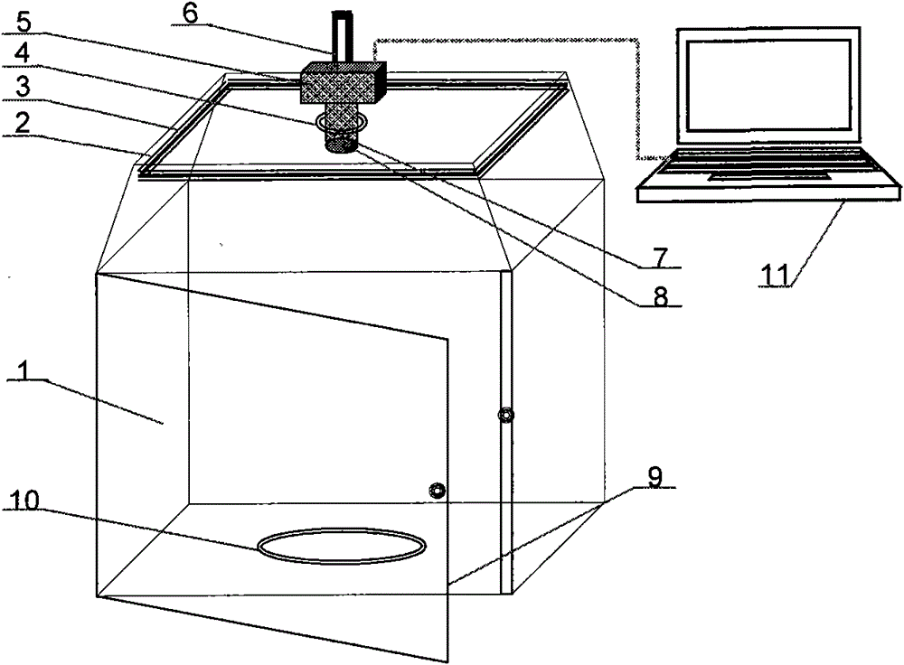 Machine vision based real-time diagnosis method and system of vegetable leaf diseases