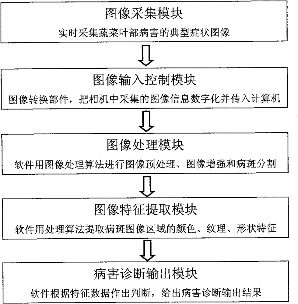 Machine vision based real-time diagnosis method and system of vegetable leaf diseases