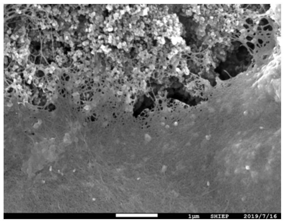 A kind of sulfur cathode material with functional intermediate layer and its preparation and application