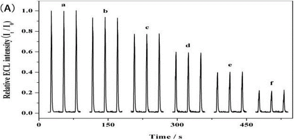 Method for detecting RAC (ractopamine) based on electrical chemiluminescence