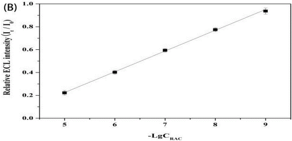 Method for detecting RAC (ractopamine) based on electrical chemiluminescence