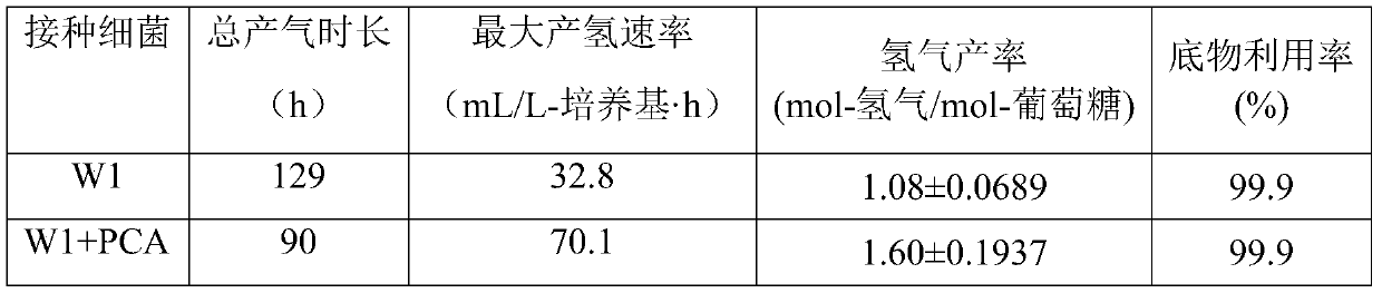 Method for producing hydrogen by syntrophism and interaction of fermentative hydrogen-producing bacteria and electroactive bacteria