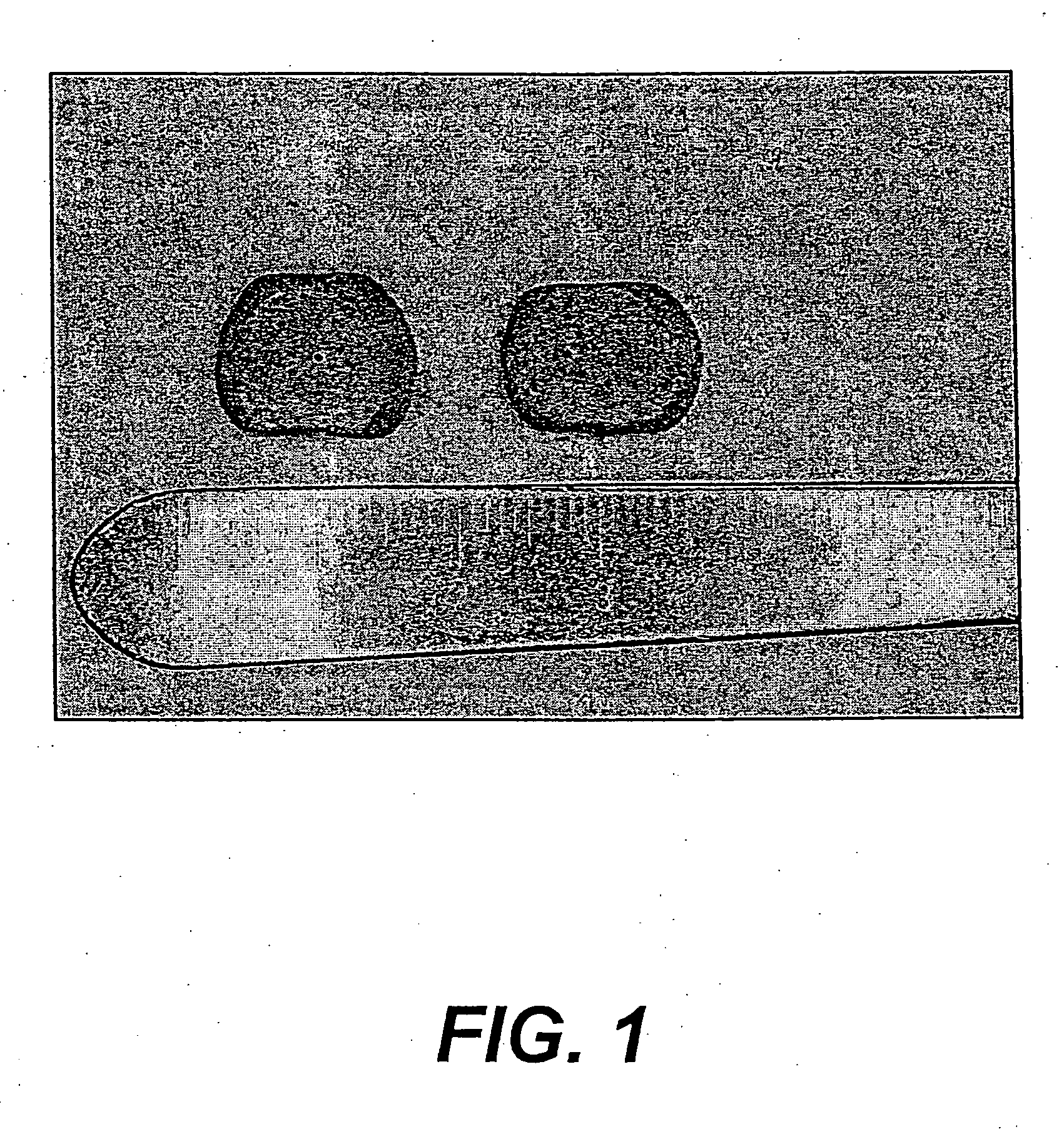 Method for facilitating the production of differentiated cell types and tissues from embryonic and adult pluripotent and multipotent cells