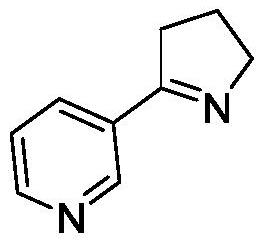 A kind of method for preparing (s)-2-(3-pyridine)-pyrrolidine