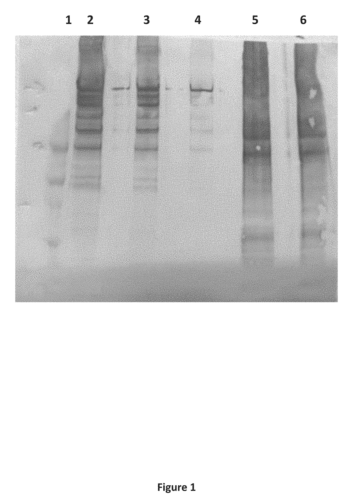 Method for injectable delivery of a therapeutic agent into a fish embryo