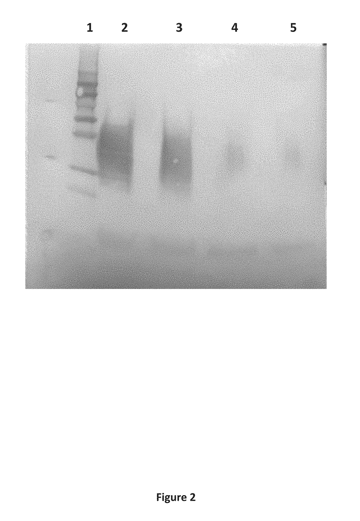 Method for injectable delivery of a therapeutic agent into a fish embryo