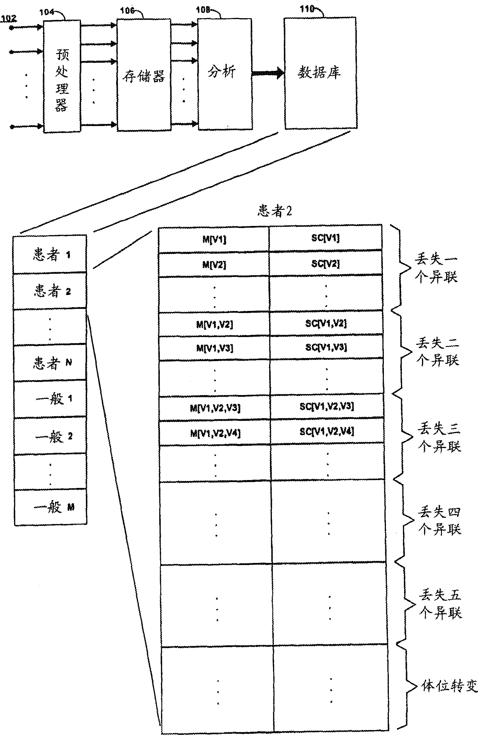 Electrocardiogram system for synthesizing leads and providing accuracy measure