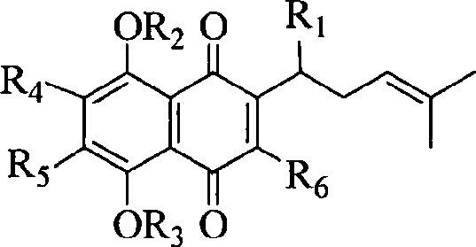 Shikonin carbohydrate derivatives and synthetic method and use thereof