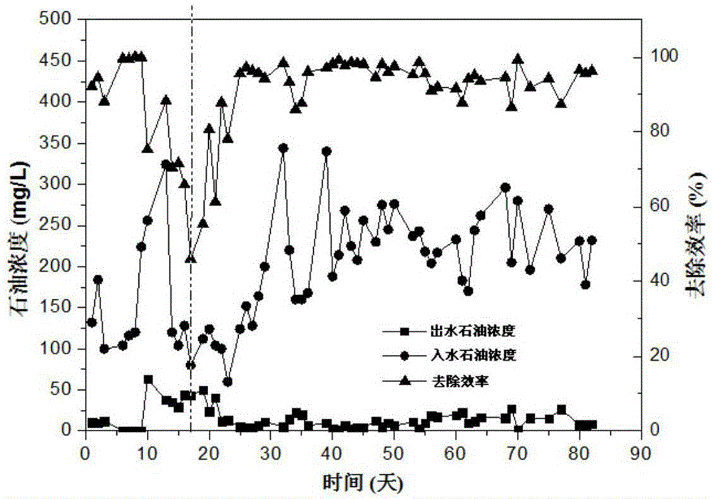 Acinetobacter pittii and application thereof