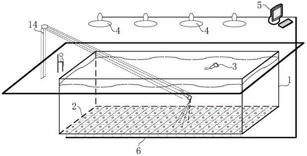 Anti-drowning system, anti-drowning method, anti-drowning swimming pool, and construction method and reconstruction method for swimming pool