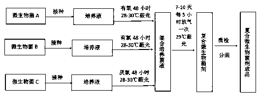 Preparation method of composite microbial agent for harmless treatment of fecal sewage