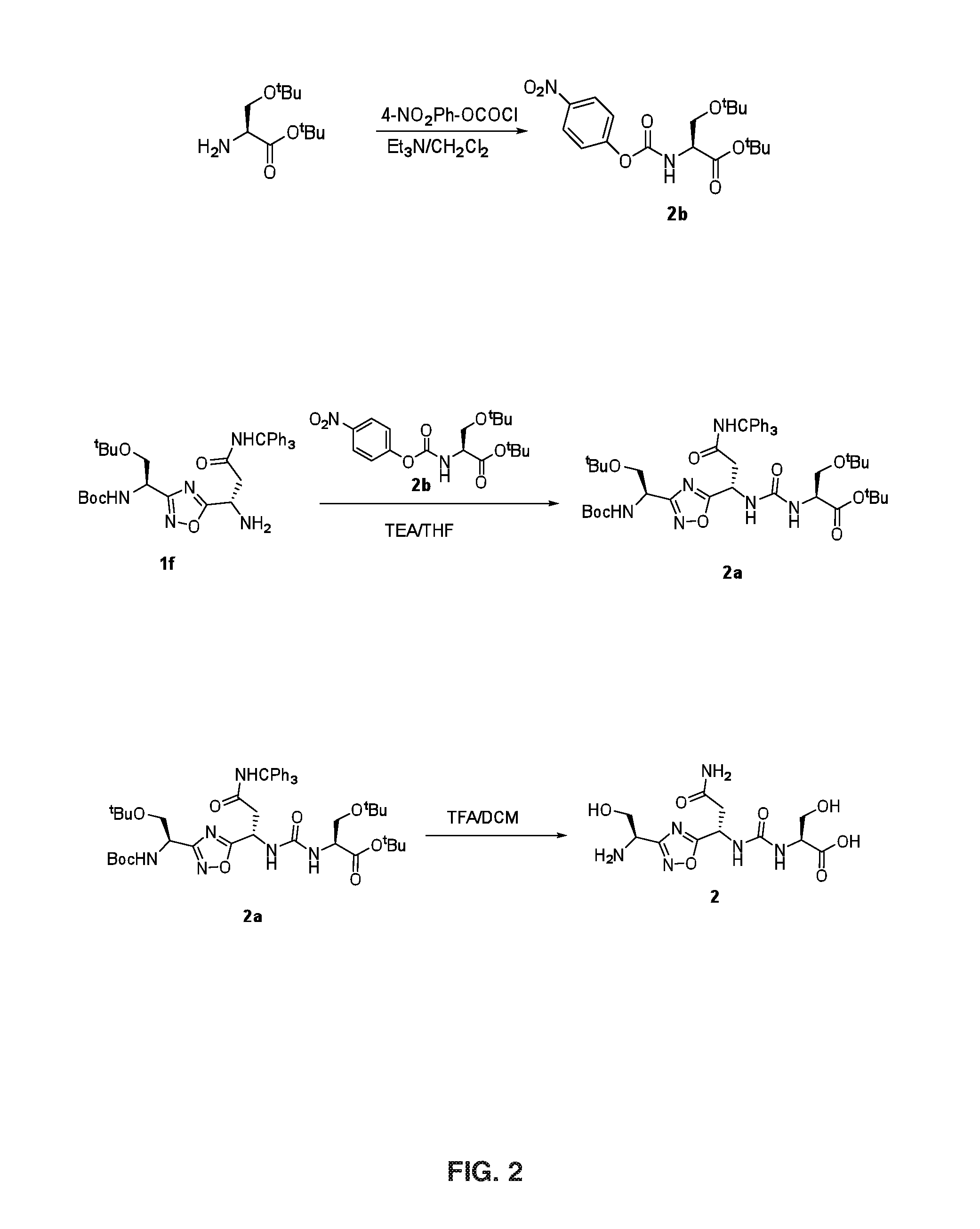 1,2,4-Oxadiazole Derivatives as Immunomodulators