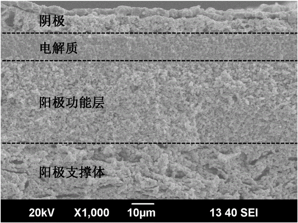 Doped cerium oxide-based solid oxide fuel cell and preparation method thereof