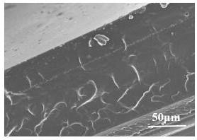 Sunlight self-repairing transparent flexible strain sensing composite material, preparation method and applications thereof