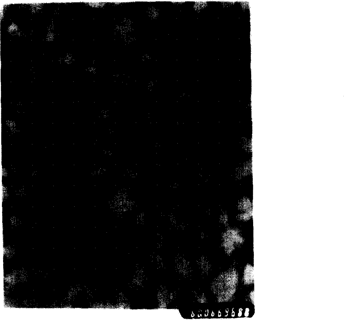 Tetrandrine solid lipide nano particle and its preparing method