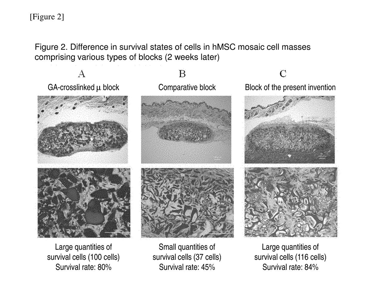 Cell construct for cell transplantation, biocompatible polymer block, and method for producing the same