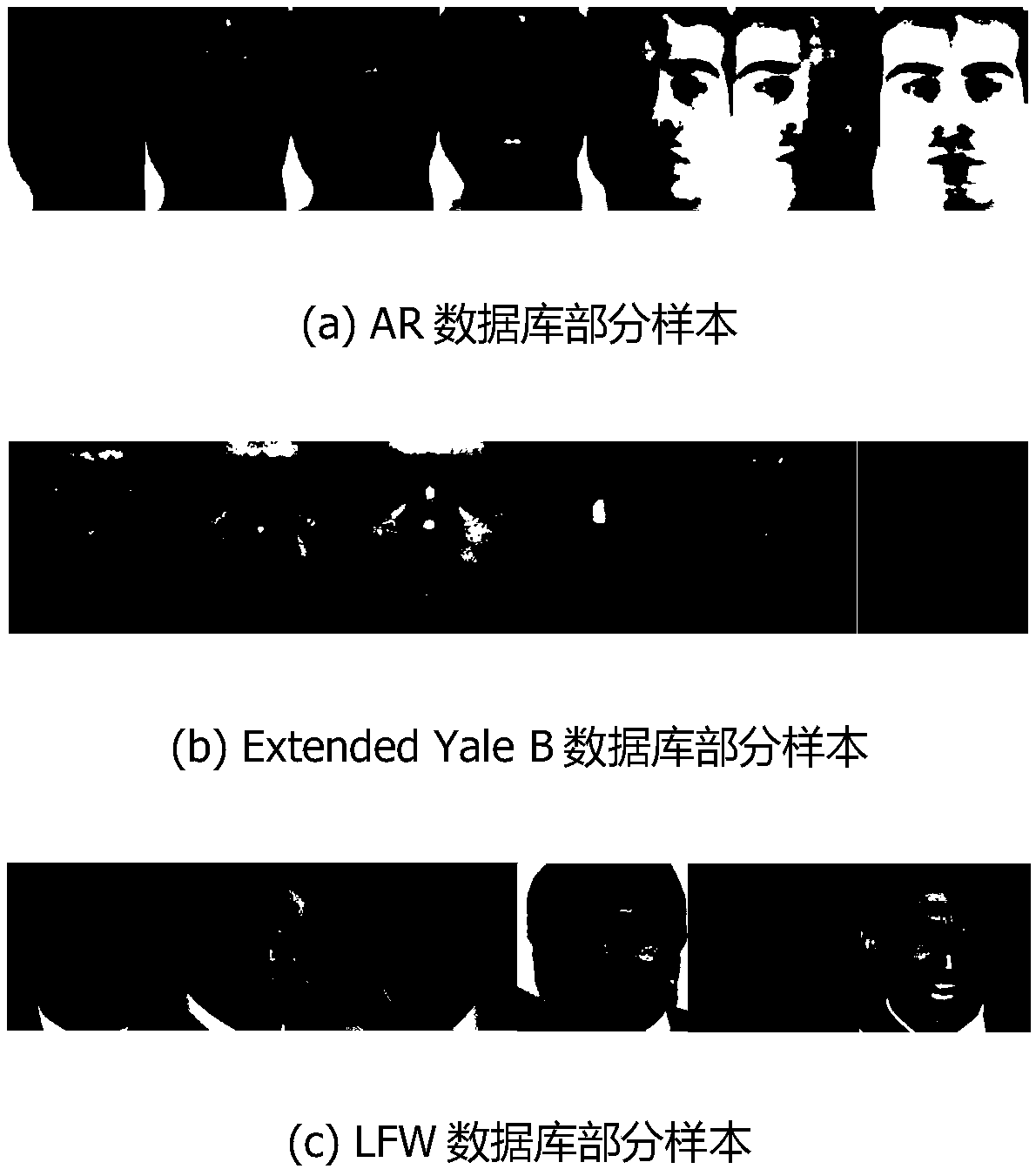 DSPP (Discriminant Sparsity Preserving Projections) method for unconstrained face recognition