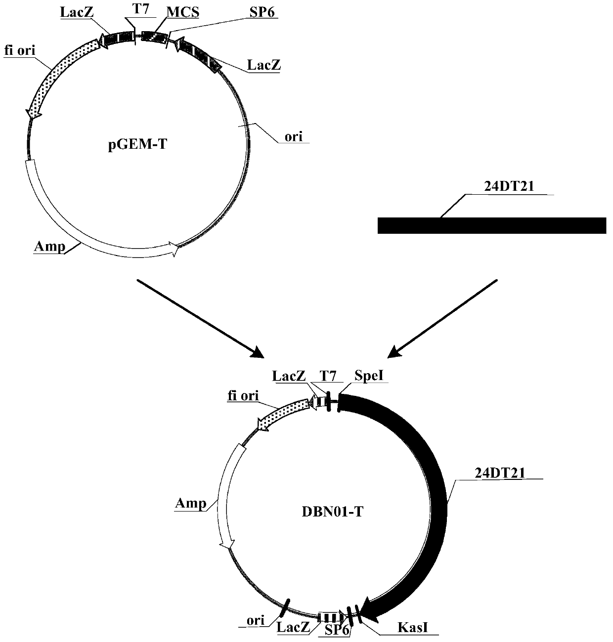 Herbicide resistance protein, its encoding gene and use