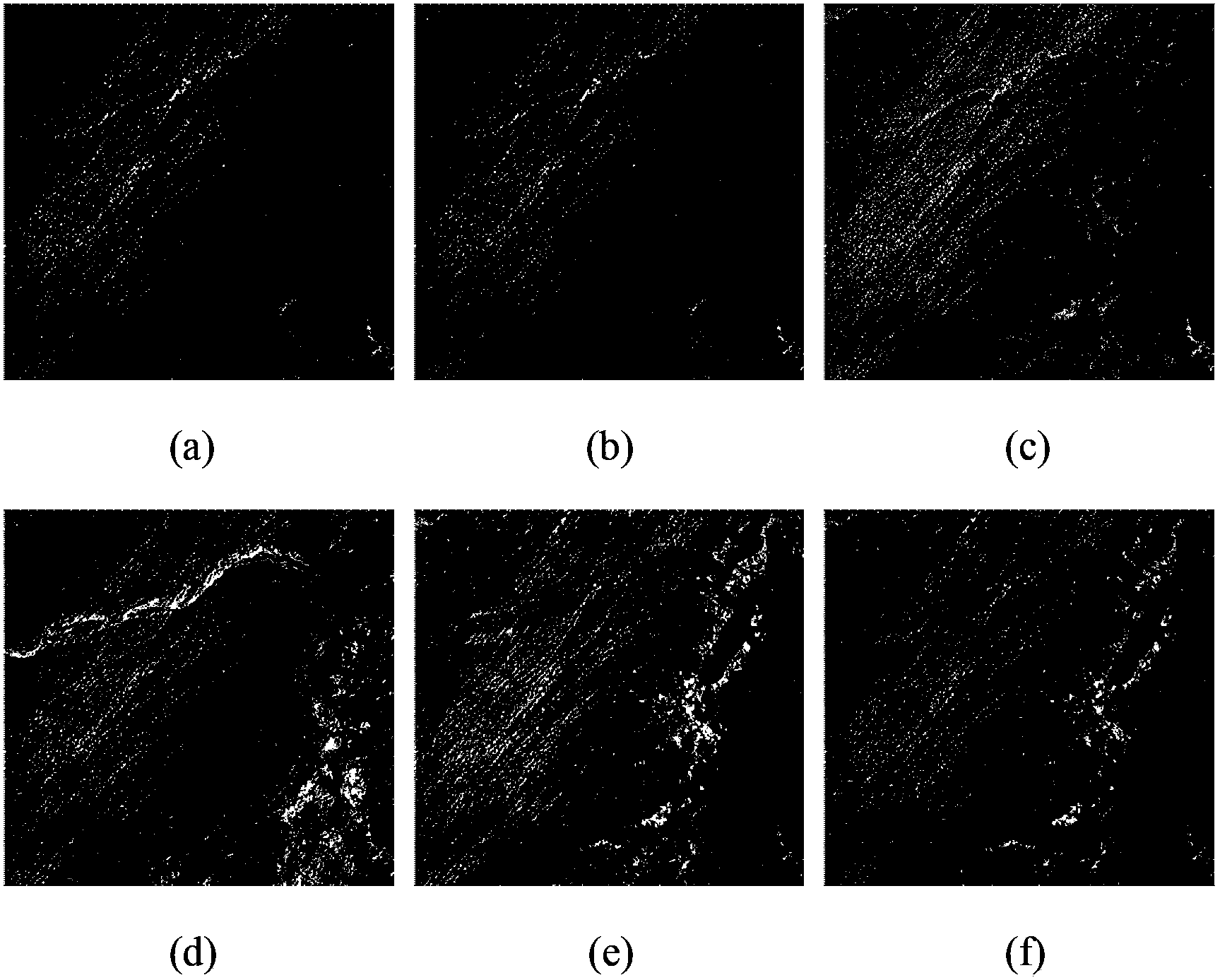 Method for detecting spissatus and spissatus shadow based on Landsat thematic mapper (TM) images and Landsat enhanced thematic mapper (ETM) images