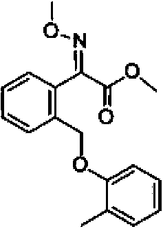 Bactericidal composition containing isopyrazam and kresoxim-methyl and application thereof