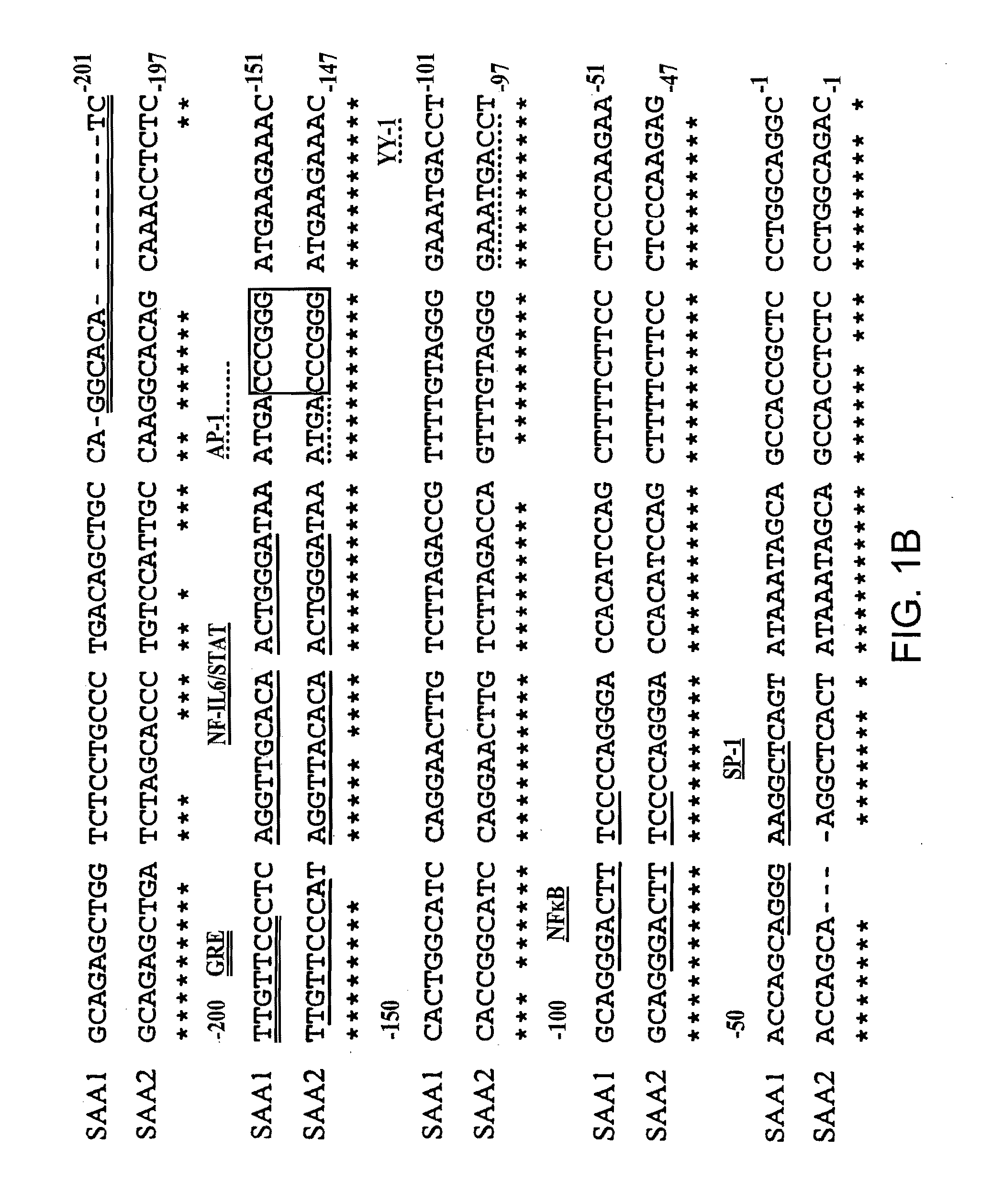 Methods for Determining Drug Responsiveness