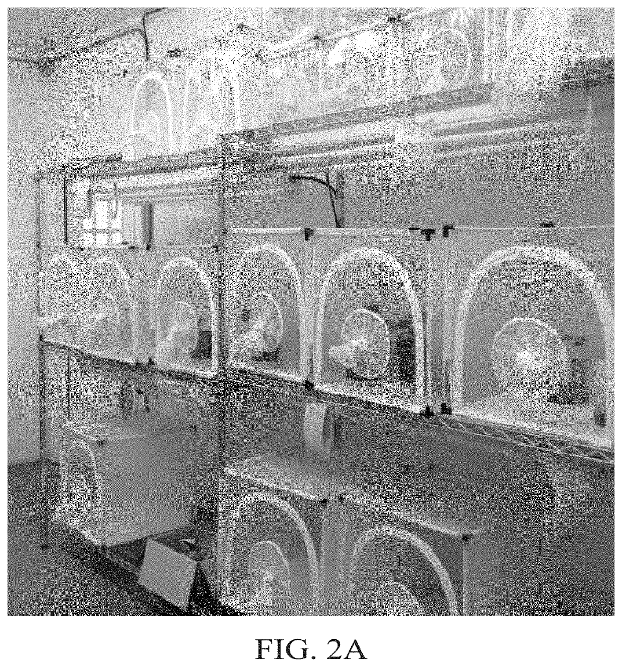 Methods, compositions, and systems for culturing and characterizing fastidious plant microbes