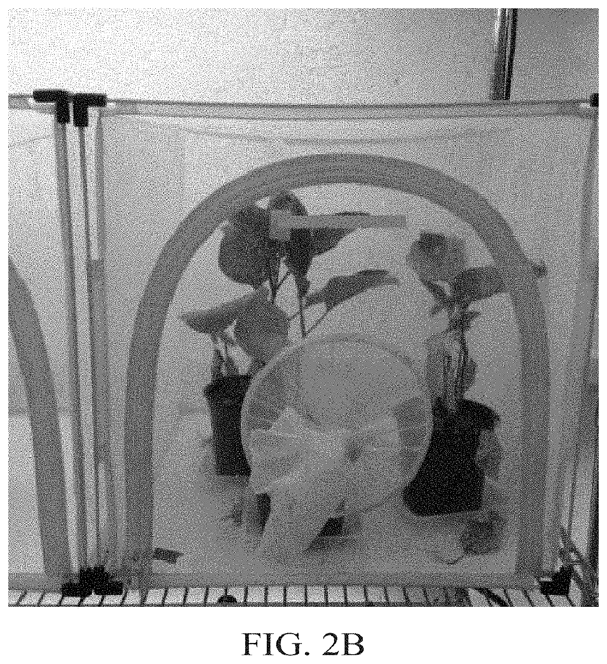 Methods, compositions, and systems for culturing and characterizing fastidious plant microbes