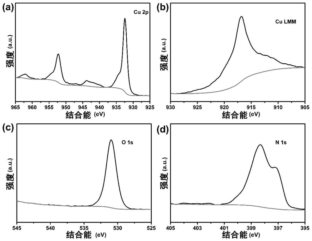 Nitrogen-doped cuprous oxide electrocatalyst, preparation method, electrode and application