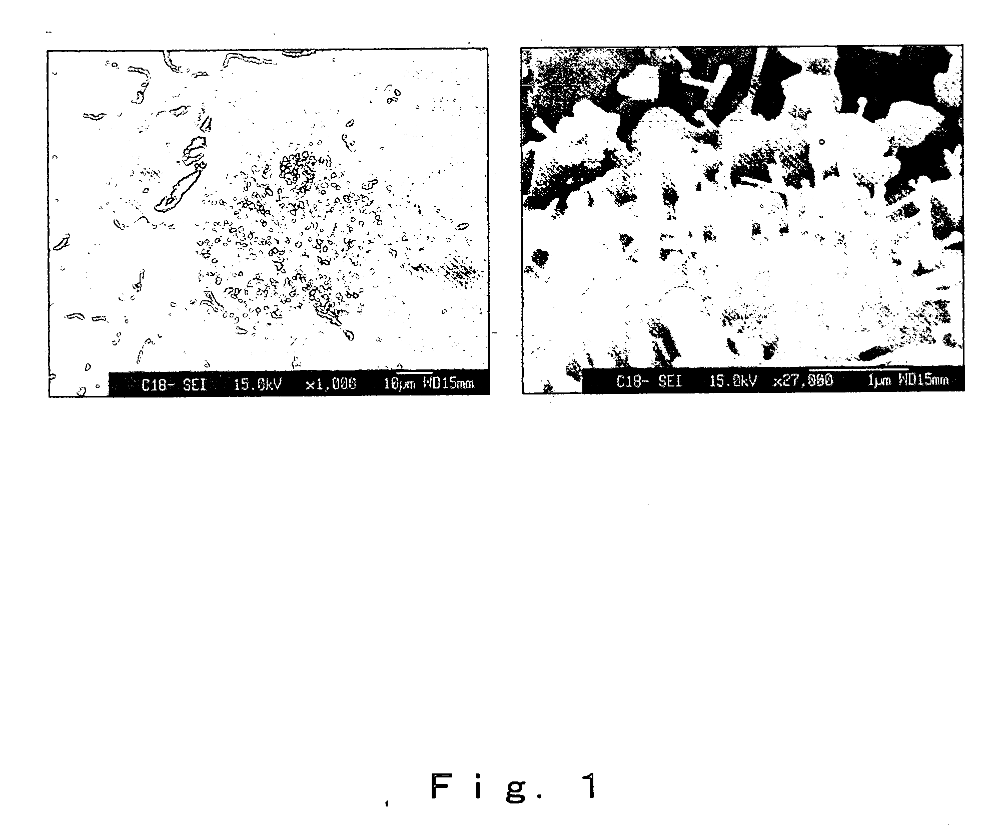 Ceramic support capable of supporting catalyst, catalyst-ceramic body and processes for producing same