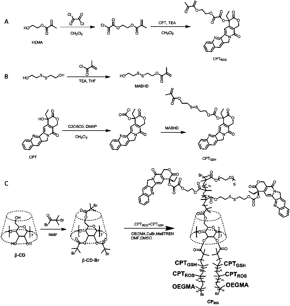 Preparation method of oxidation-reduction double-response type macromolecular camptothecin prodrug