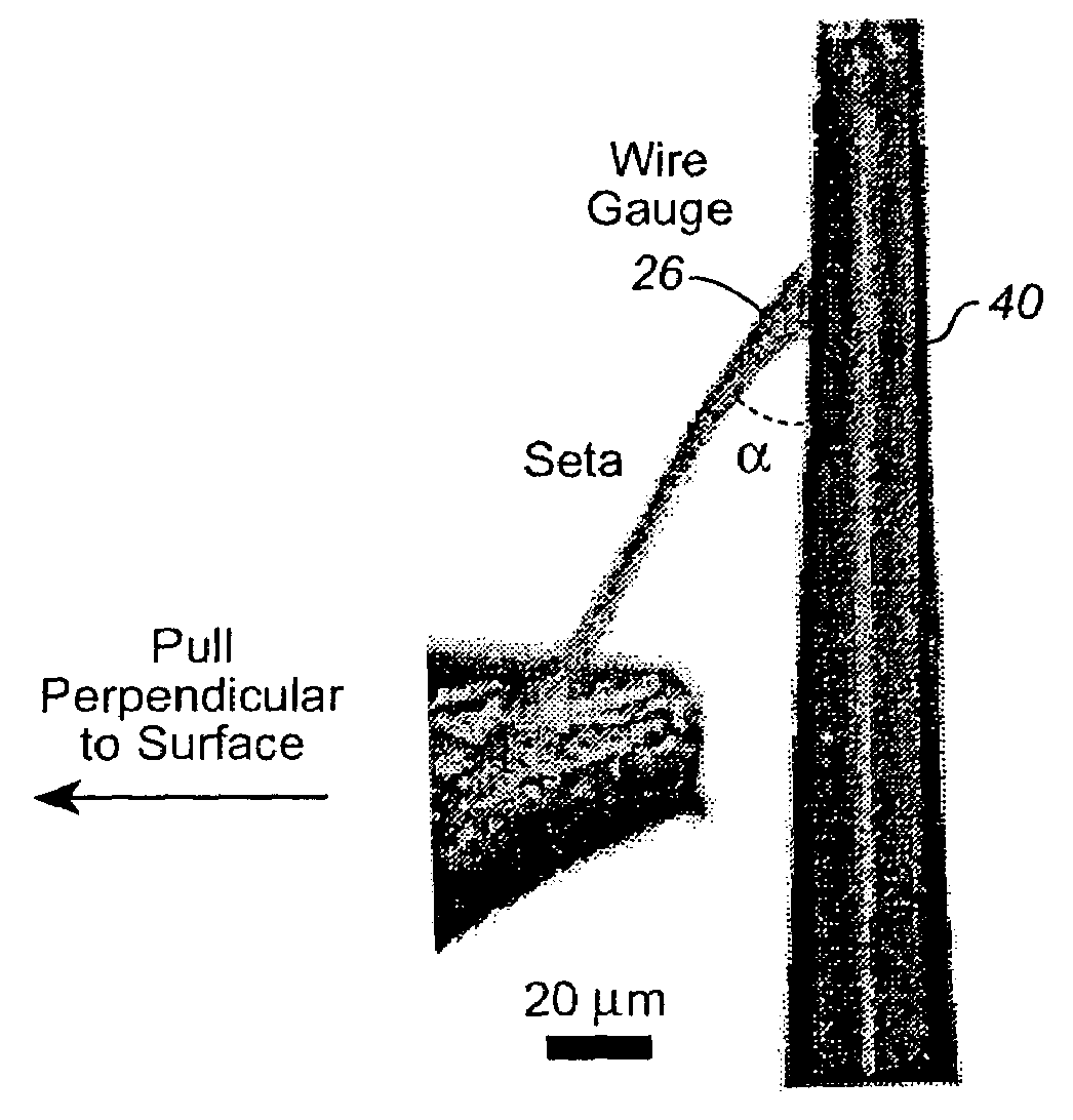 Adhesive microstructure and method of forming same