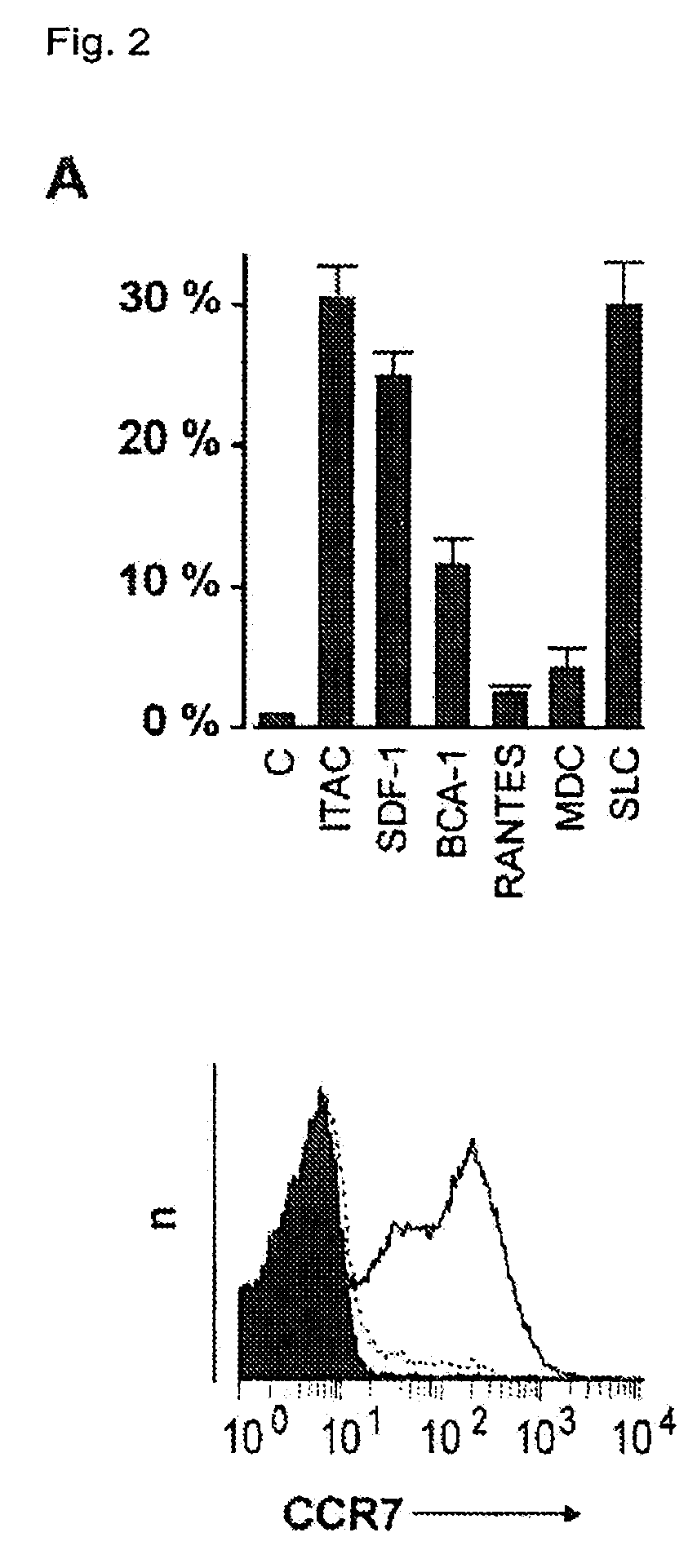 Preparation of antigen-presenting human γδ T cells and use in immunotherapy