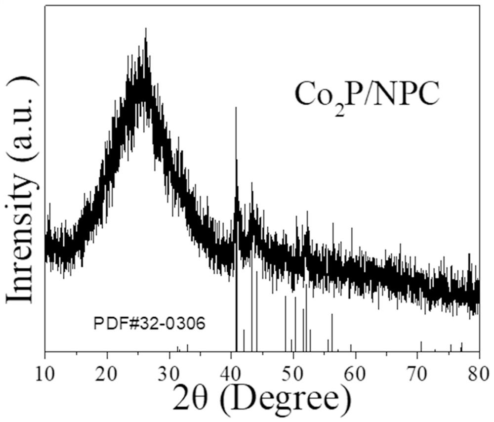 a co  <sub>2</sub> Preparation method of p/npc electrocatalyst