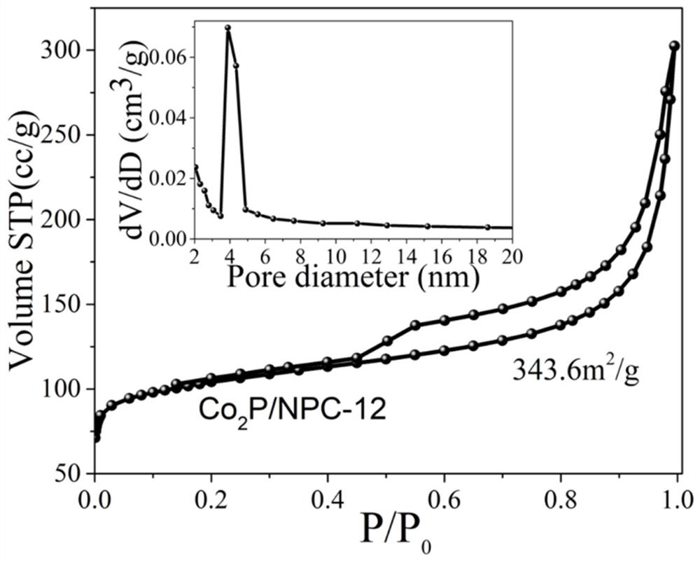 a co  <sub>2</sub> Preparation method of p/npc electrocatalyst