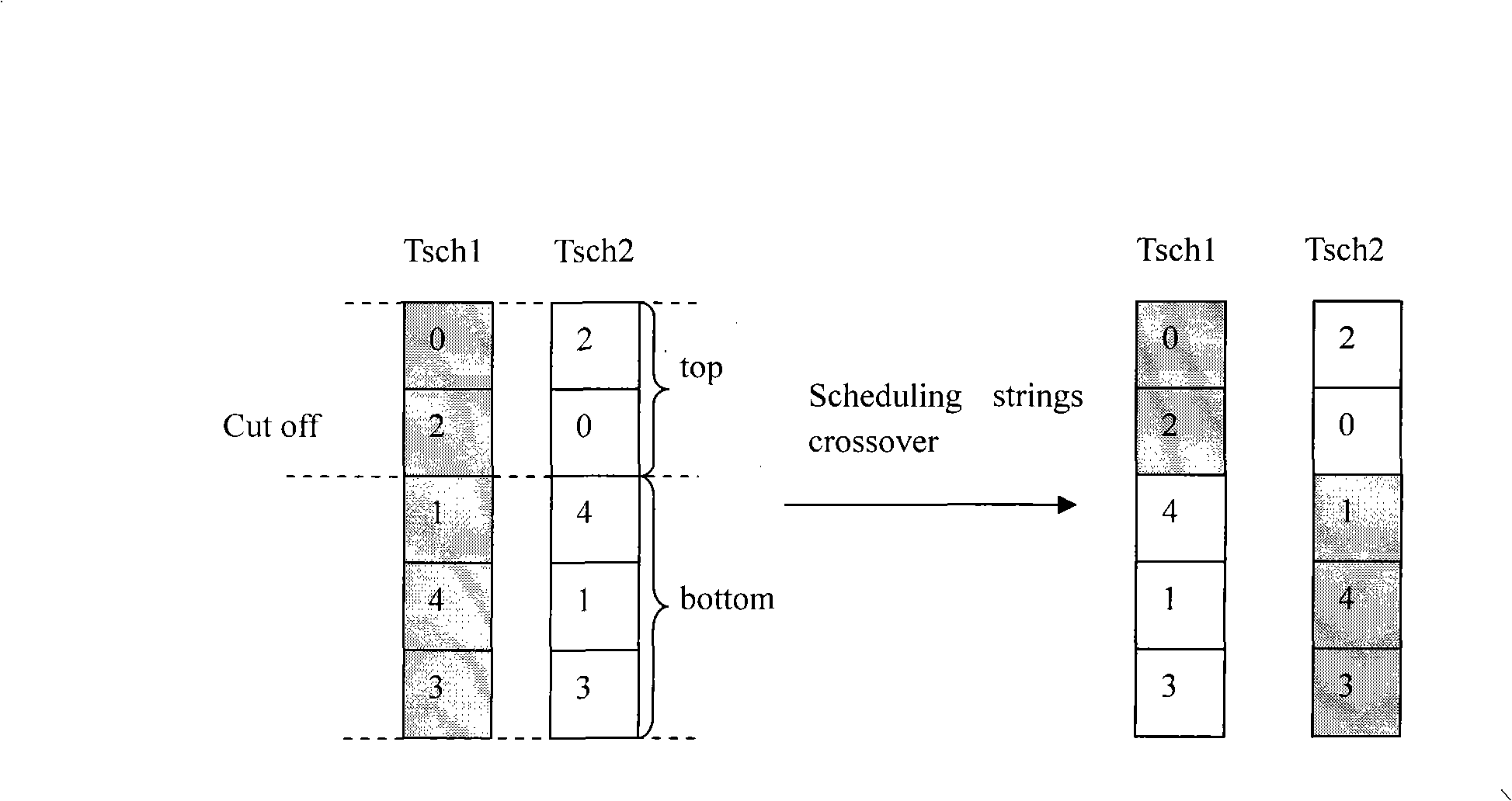 Method for allocating graticule resource based on paralleling genetic algorithm