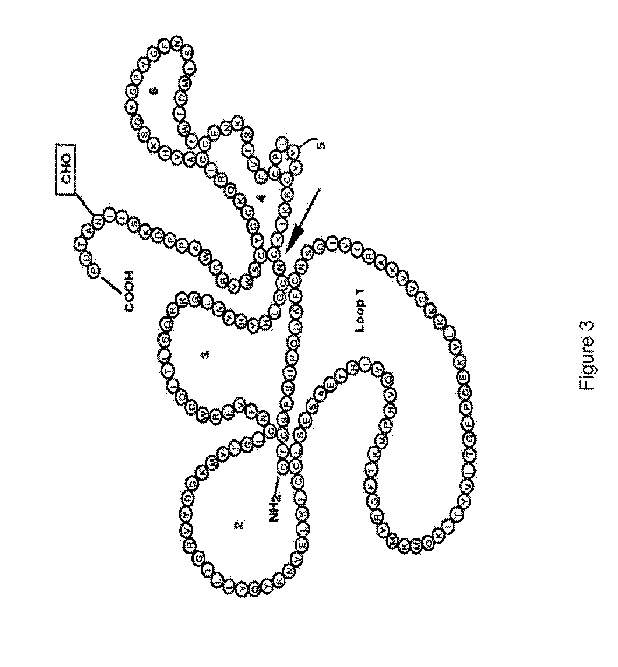 Variants of tissue inhibitor of metalloproteinase type three (timp-3), compositions and methods