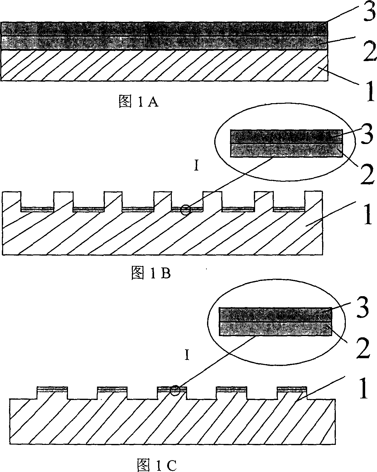 Protein chip and its preparing method and use