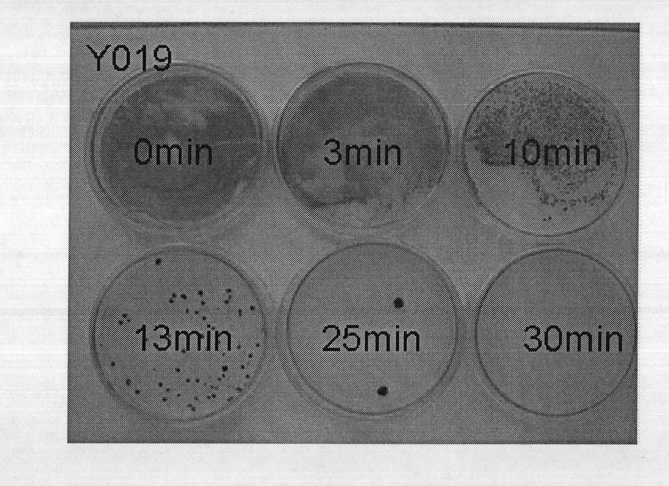 Method for screening high-lipid content mutant microalgae strain