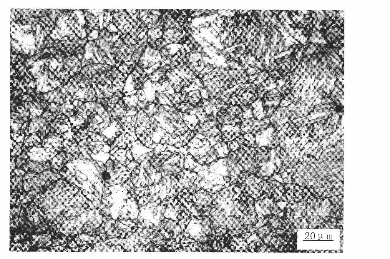 Displaying method for austenite grain boundary of intermediate-carbon alloy rare earth steel