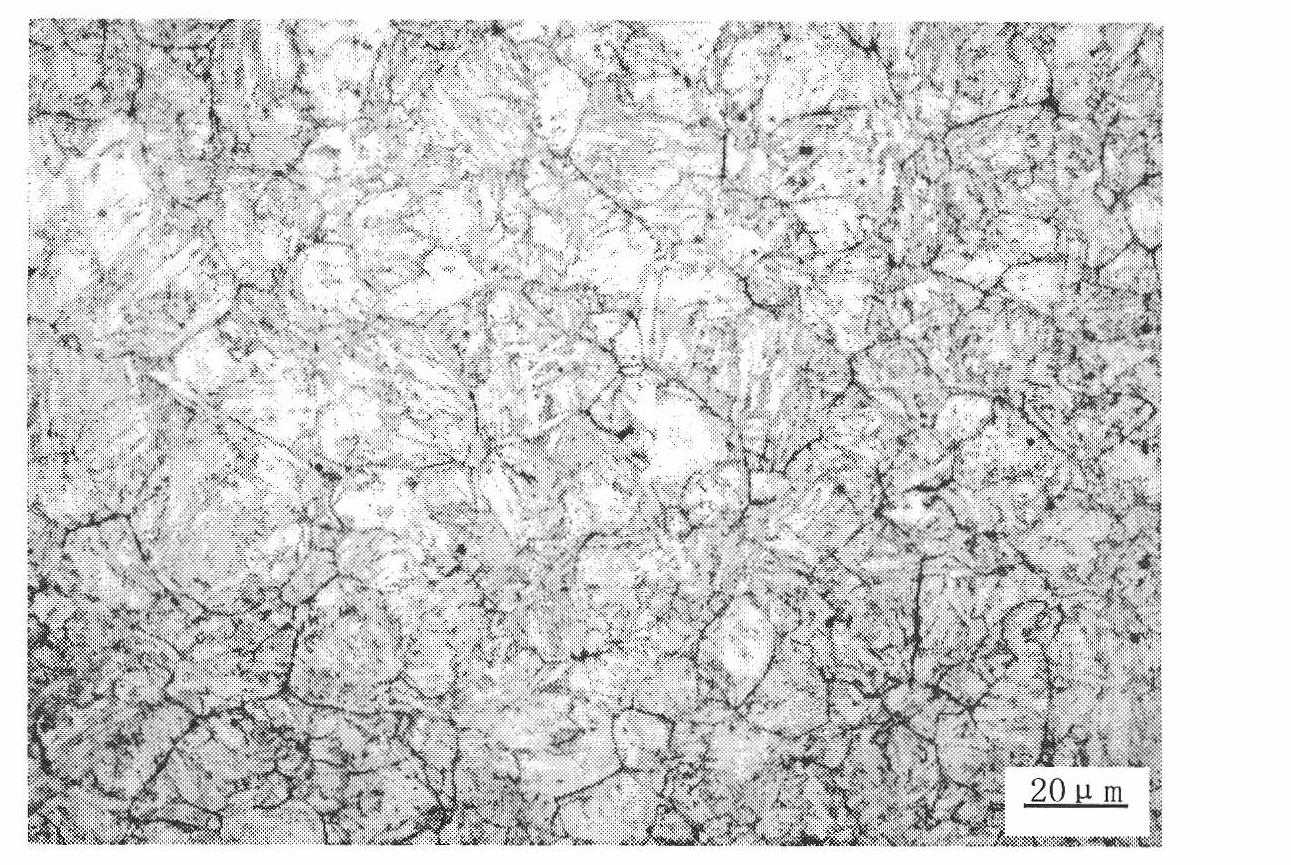 Displaying method for austenite grain boundary of intermediate-carbon alloy rare earth steel
