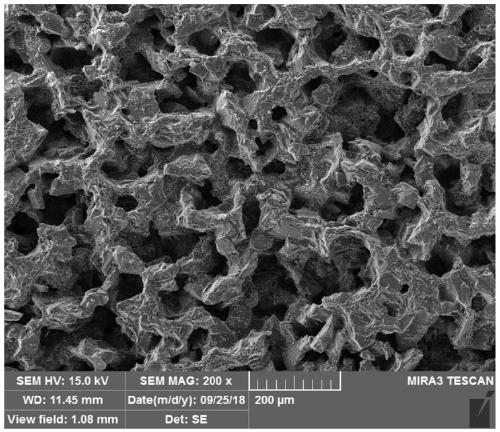 Porous ceramic raw material, porous ceramic as well as preparation method and application thereof