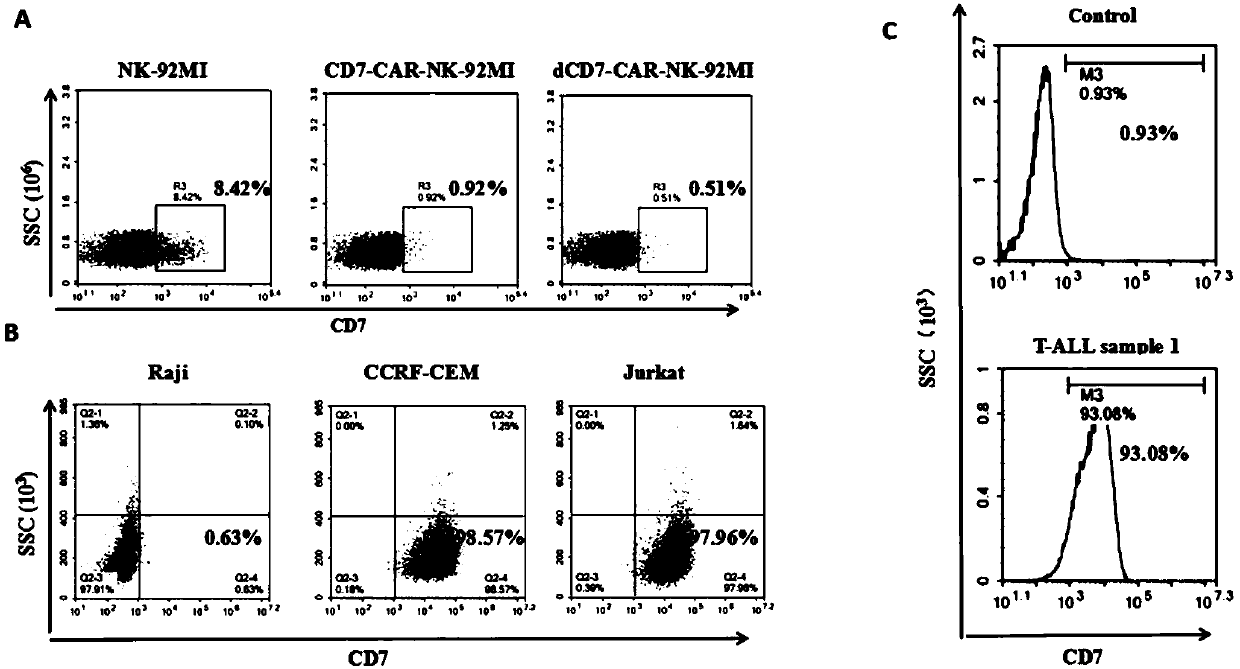 CD7 chimeric antigen receptor modified NK-92MI cell and application thereof