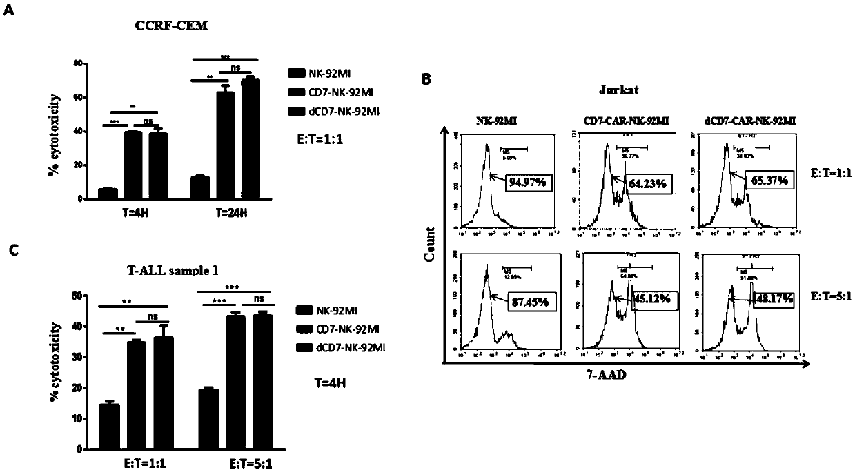 CD7 chimeric antigen receptor modified NK-92MI cell and application thereof