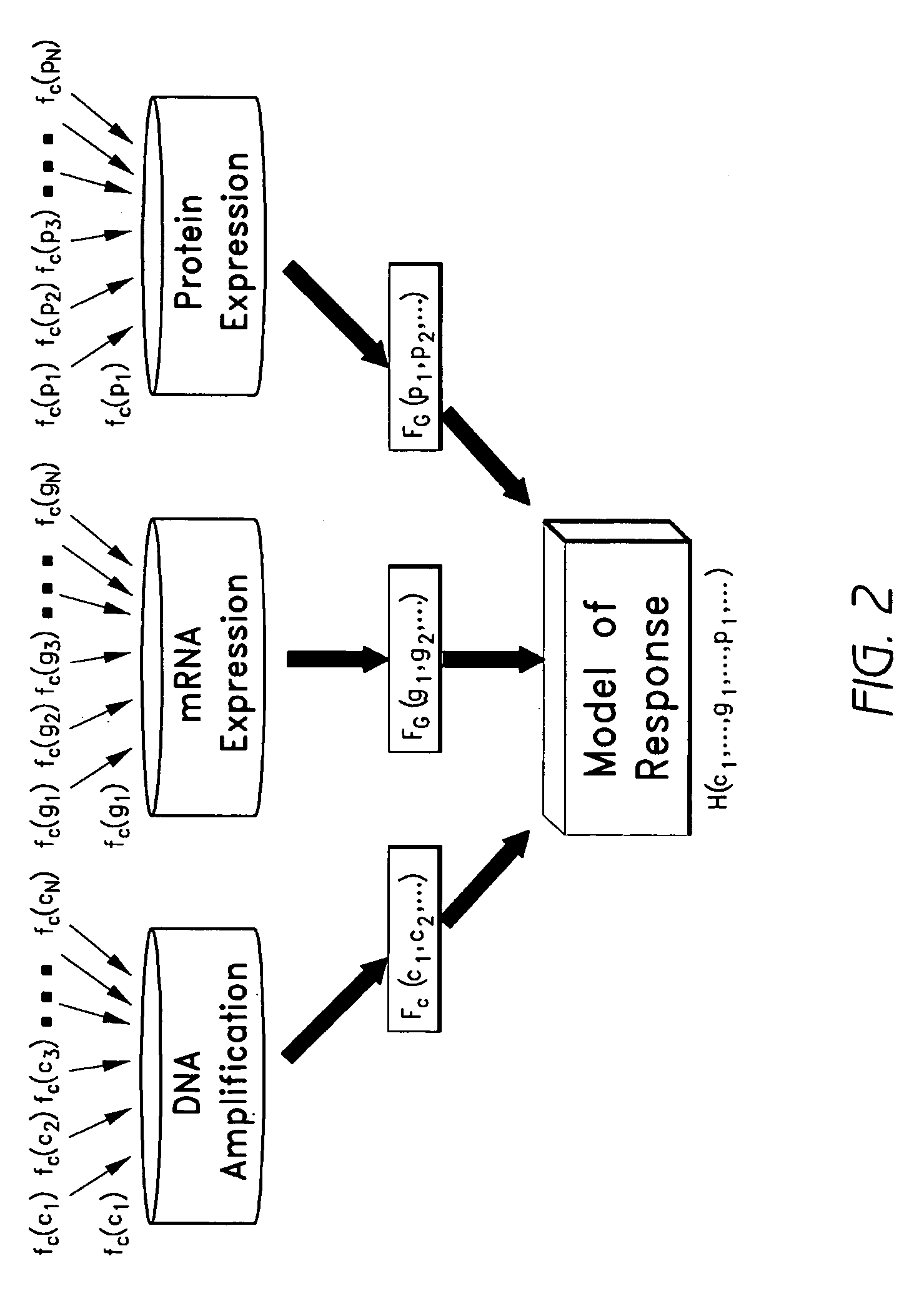 Systems and methods for predicting response of biological samples