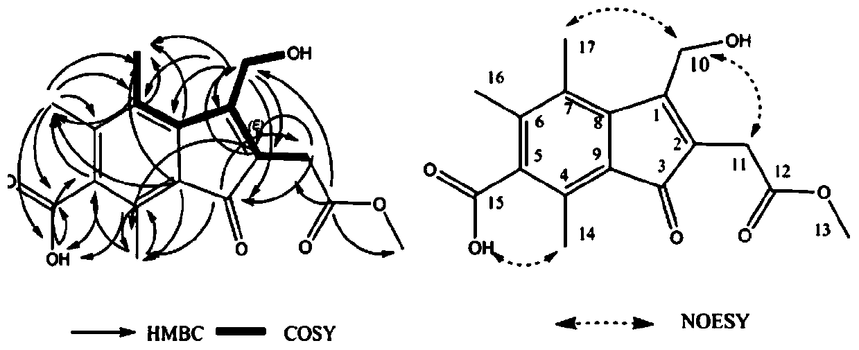 Usnic acid photodegradation product and application thereof in preparation of drugs, cosmetics or health-care products resistant to ultraviolet radiation