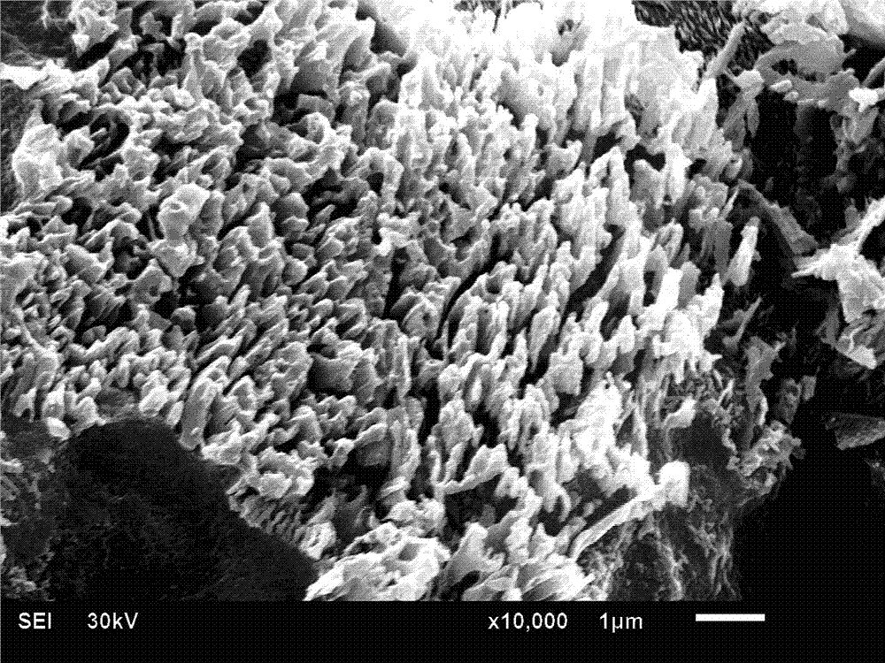 Titanium or titanium-alloy material with micron-nano coarse-structure surface and preparation method thereof