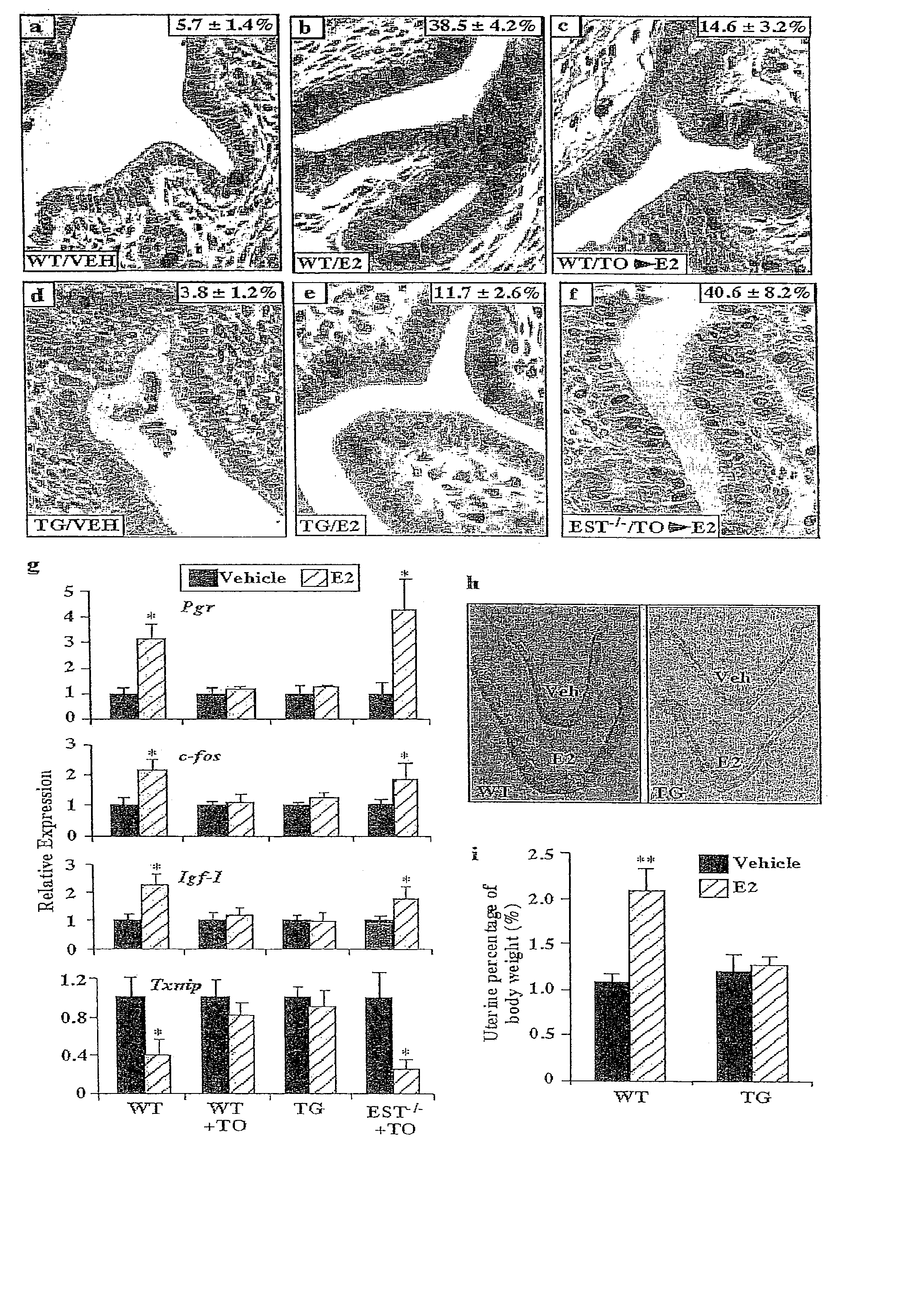 Methods of treating estrogen-responsive conditions by orphan nuclear receptor activation