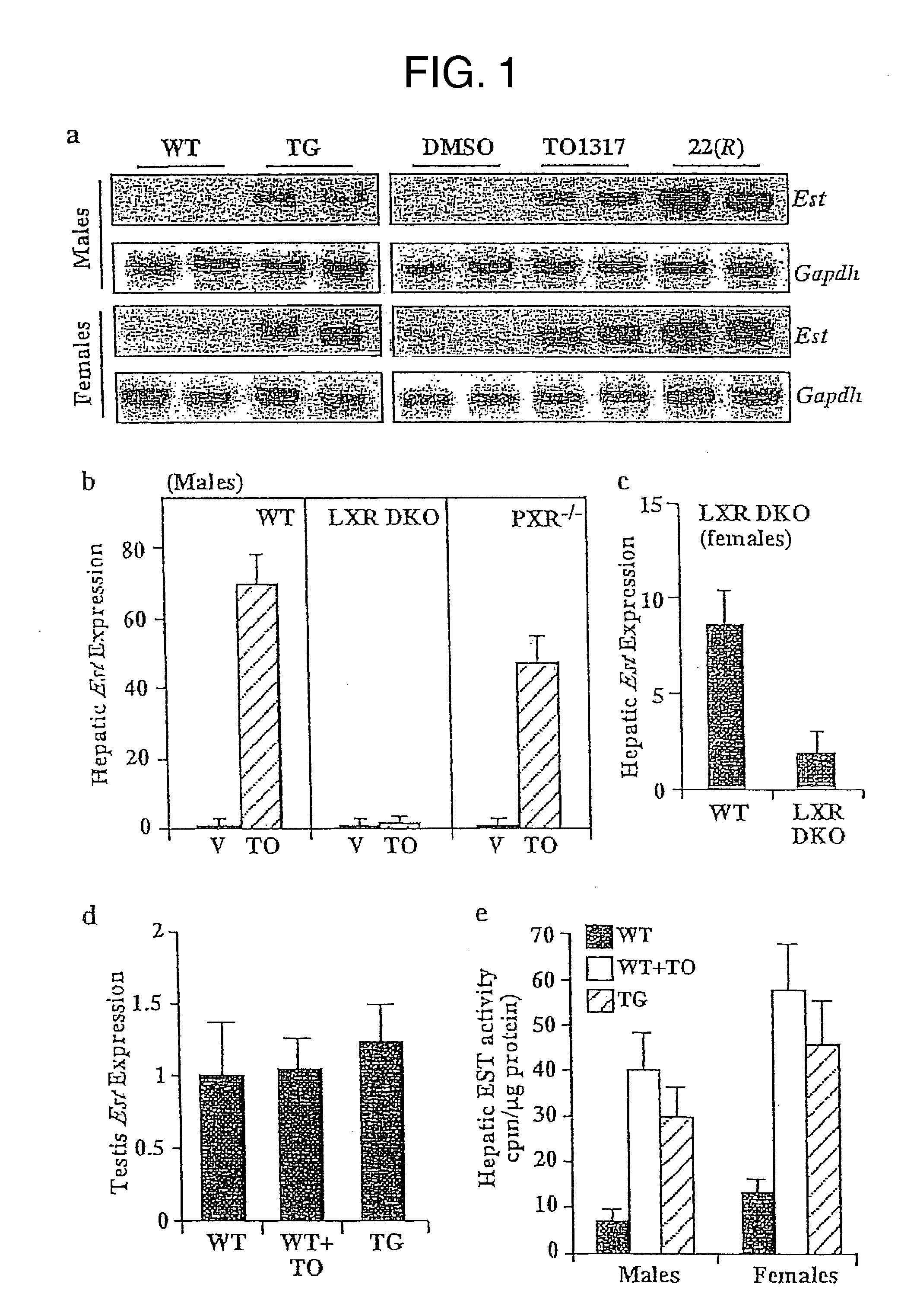 Methods of treating estrogen-responsive conditions by orphan nuclear receptor activation